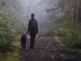 Dog-Licences.jpg