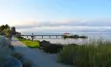 Davis Bay Pier