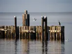 Wharfs-Moorage-RESIZED.jpg