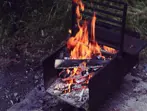 Backyard-Burning-RESIZED.jpg
