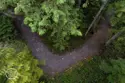 Trail