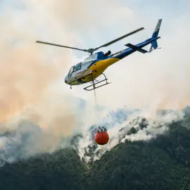 Helicopter fighting a forest fire