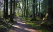 Trail pathway