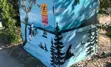 Art Wrap