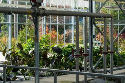 Water Resource Centre Greenhouse