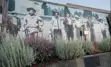 Mural