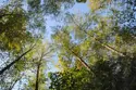 DSC_0089_syd.jpg