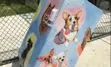 Dog Park Wrap